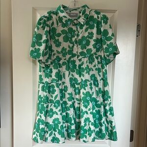 Blue B. Green Floral medium Dress